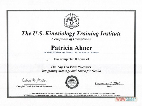 Kinesiology Certificate 1